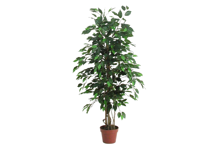 Kunstpuu Ficus 125cm